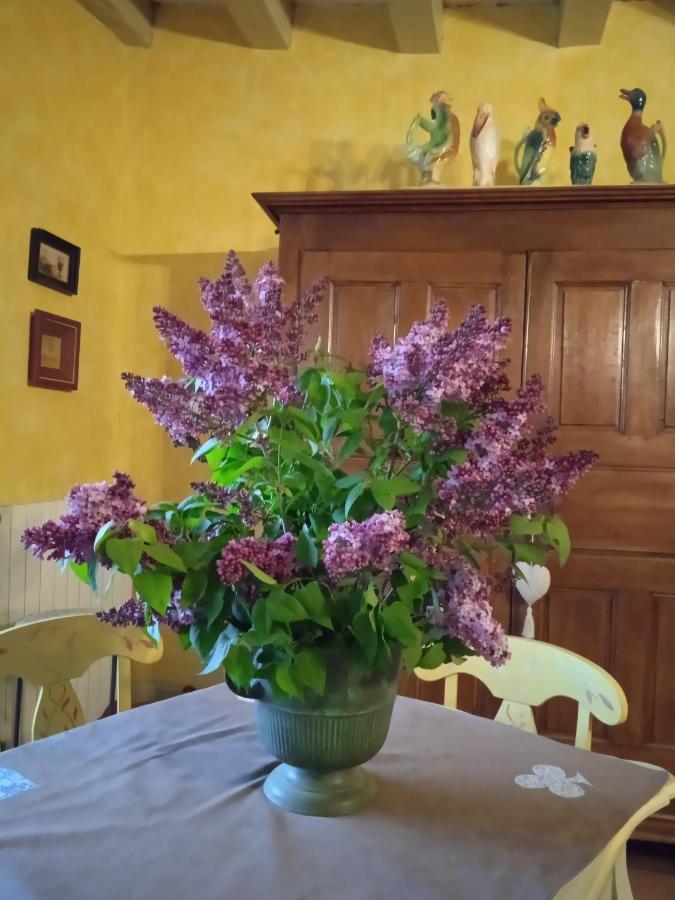 Chambre Dans Prieure De Caractere XVIII Siecle Planioles Eksteriør billede